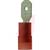 Allied Terminals - MDNYD1-187(5)@E - NYLON BRASS 22-18 AWG MALE RECEPTACLE|70053838 | ChuangWei Electronics