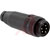 TURCK - BS 4151-0/9 - 85 degC 7/8 in. - 16 UN 16 AWG PG 9 Cbl Gland 5 Pin Straight Male Connector|70036023 | ChuangWei Electronics