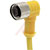 TURCK - WKB 3T-2 - 3.5 mm 250 V 4 A Brass 22 AWG 2 Yellow Right Angle Connector, Cordset|70036036 | ChuangWei Electronics